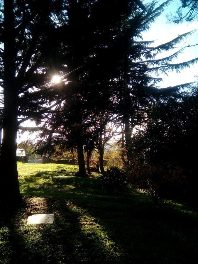Le Manoir Des Rochers Bouere Dış mekan fotoğraf